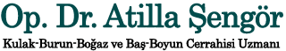 Şengör KBB: Op. Dr. Atilla Şengör, ENT, HNO interior