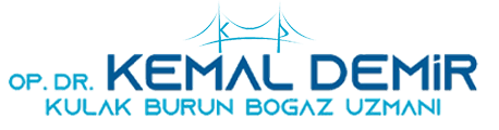 Op. Dr. Kemal Demir, Kulak Burun Boğaz ve Burun Estetiği interior