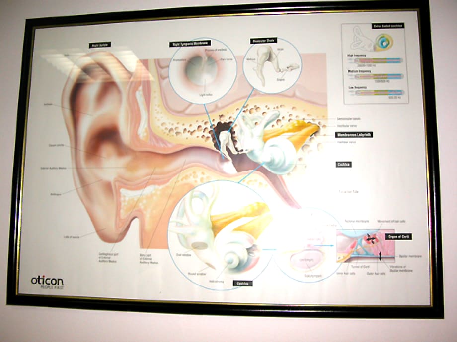 Specijalistička ordinacija za bolesti uha, grla i nosa Orlland gallery image 2