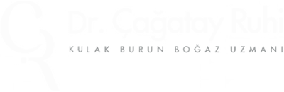 Op. Dr. Çağatay Ruhi interior