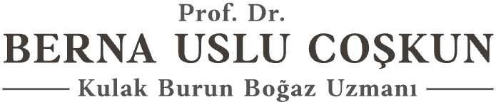 Prof. Dr. Berna Uslu Coşkun KBB Rinoplasti Burun Estetiği Dolgu Botoks Mezoterapi Alerji Nişantaşı İstanbul interior