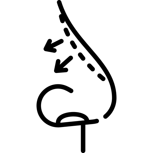 Prof. Dr. Berna Uslu Coşkun KBB Rinoplasti Burun Estetiği Dolgu Botoks Mezoterapi Alerji Nişantaşı İstanbul gallery image 2