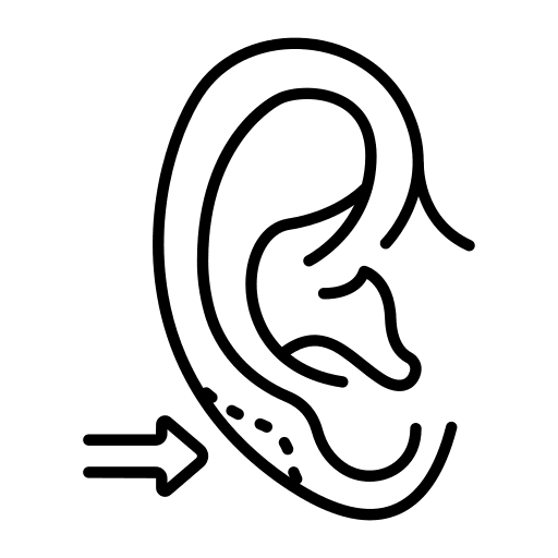 Prof. Dr. Berna Uslu Coşkun KBB Rinoplasti Burun Estetiği Dolgu Botoks Mezoterapi Alerji Nişantaşı İstanbul gallery image 3