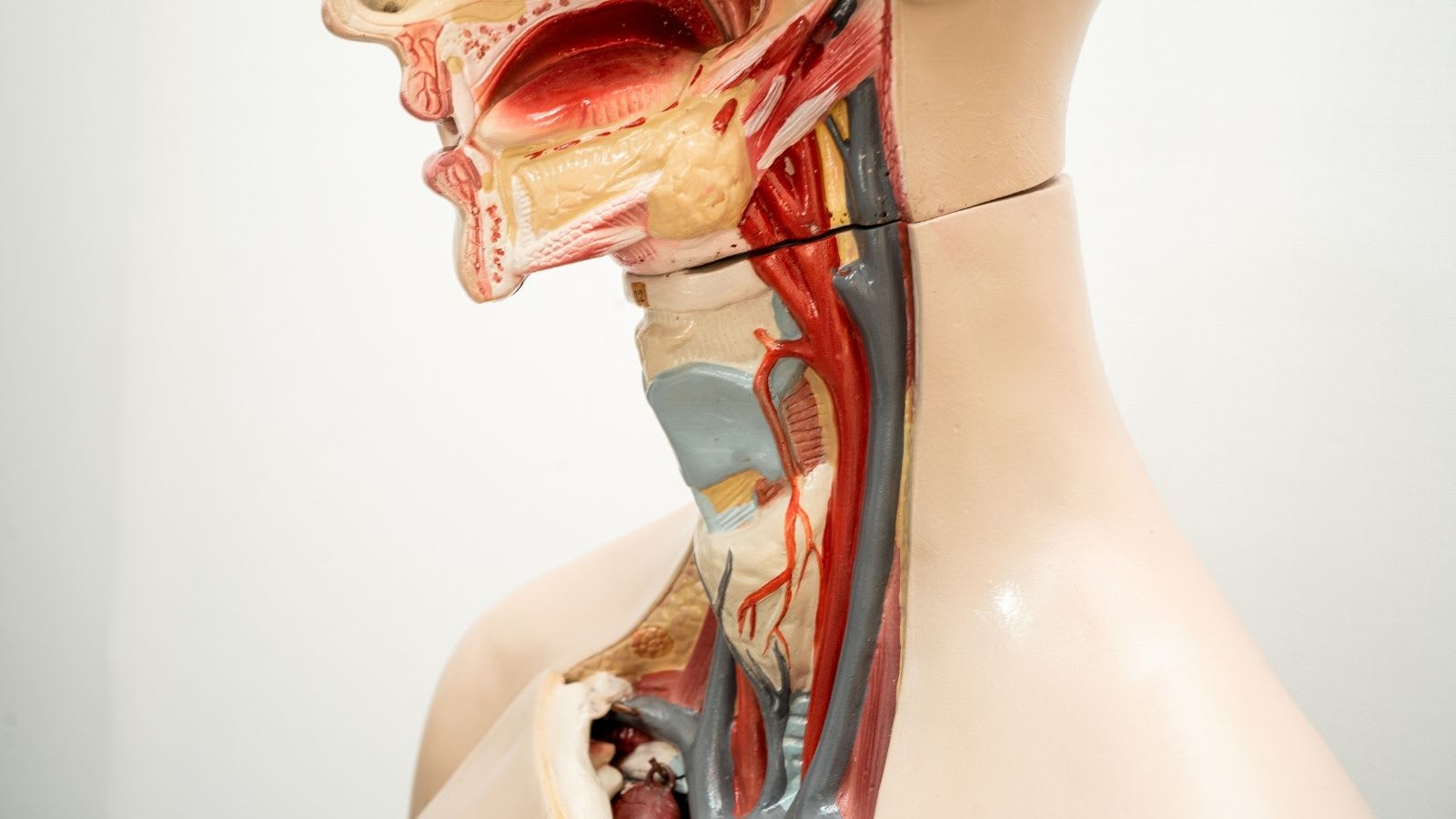 Op. Dr. Deniz Özlem Topdağ - Dudak Dolgusu - Burun Dolgusu - Botoks | Kadıköy, İstanbul gallery image 3