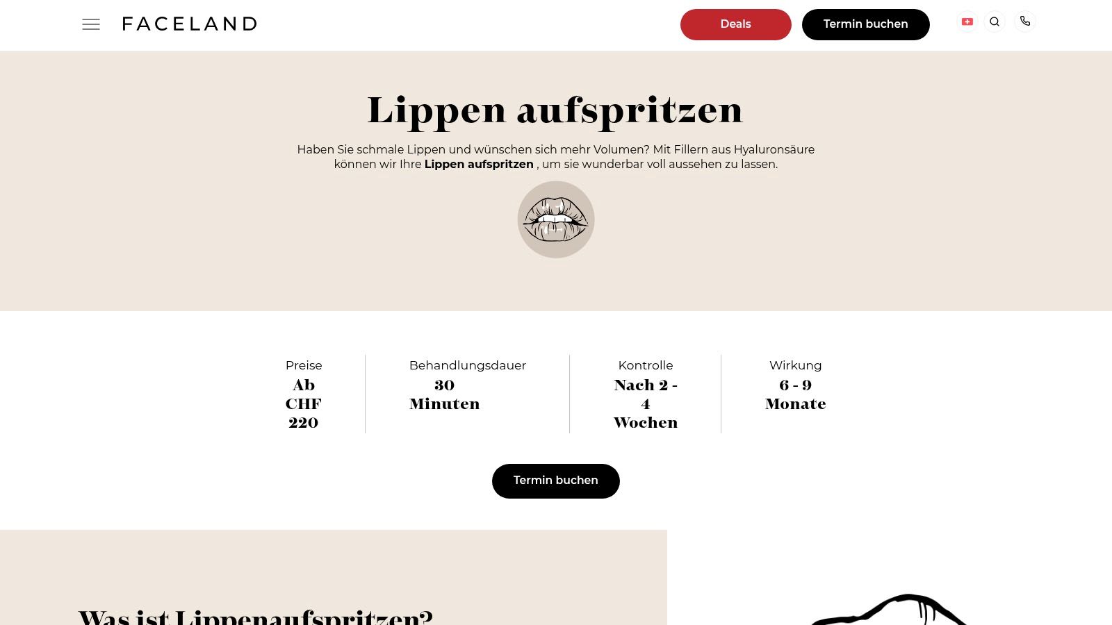 Faceland Schweiz – Zürich