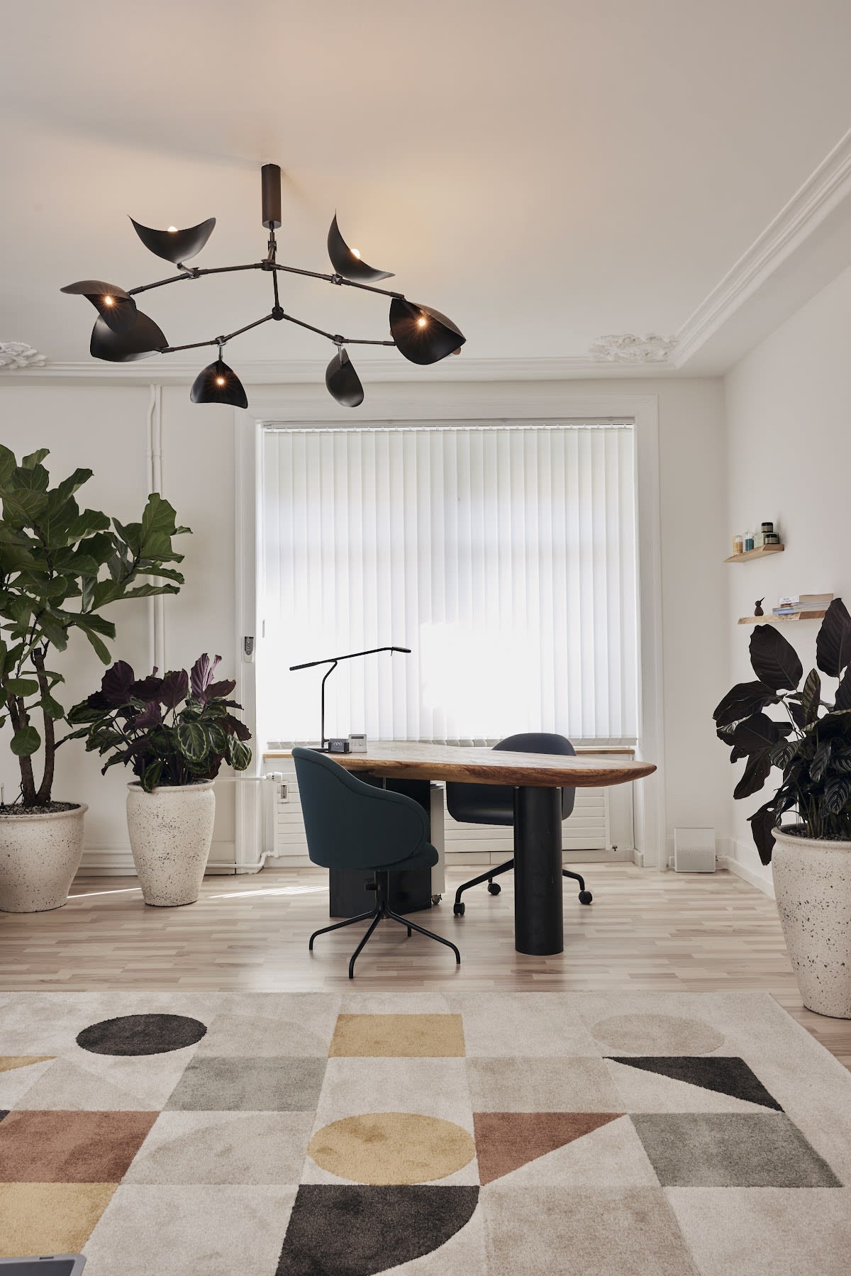 Neo Praxis - Laser Skin Aesthetics gallery image 2