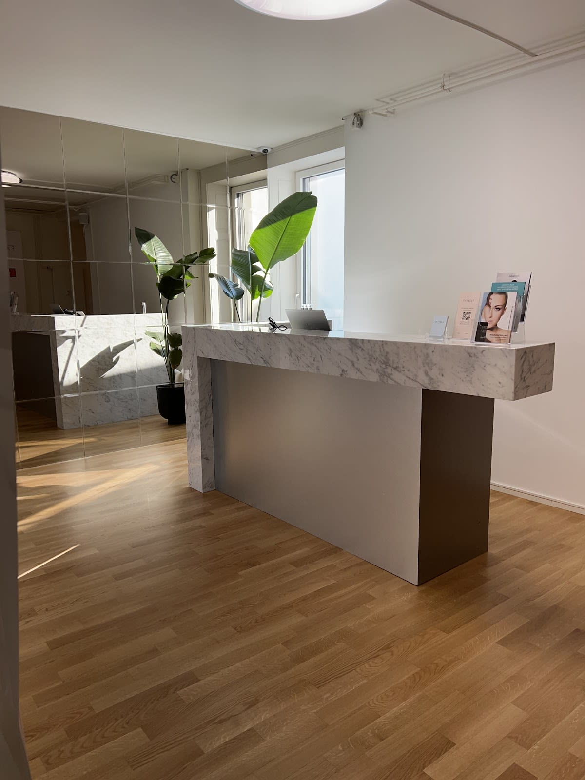 Fatissa Skin gallery image 2