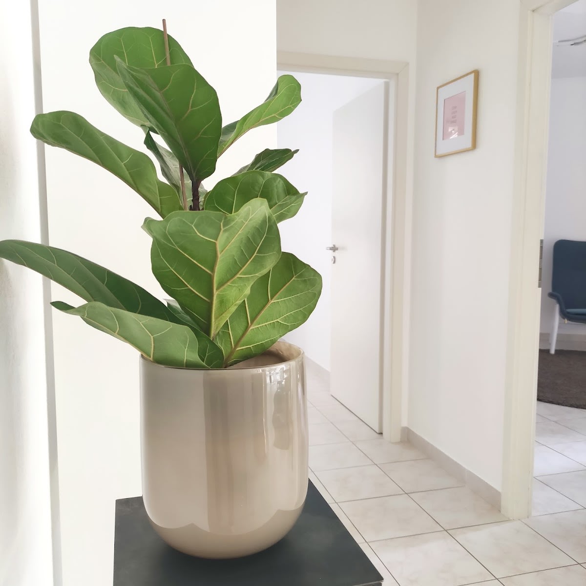 Cabinet Künzler Sàrl gallery image 7