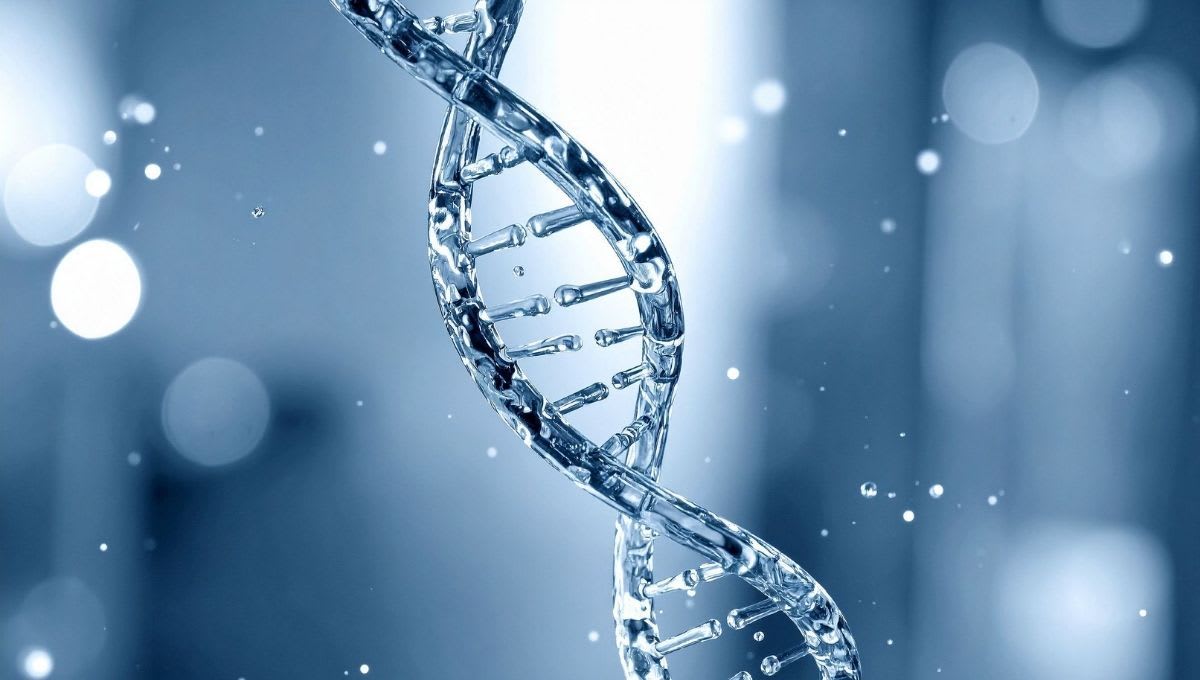 Samsara Medical Center gallery image 5