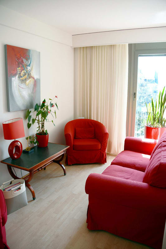 Cabinet du Dr Alejandro Arza gallery image 6