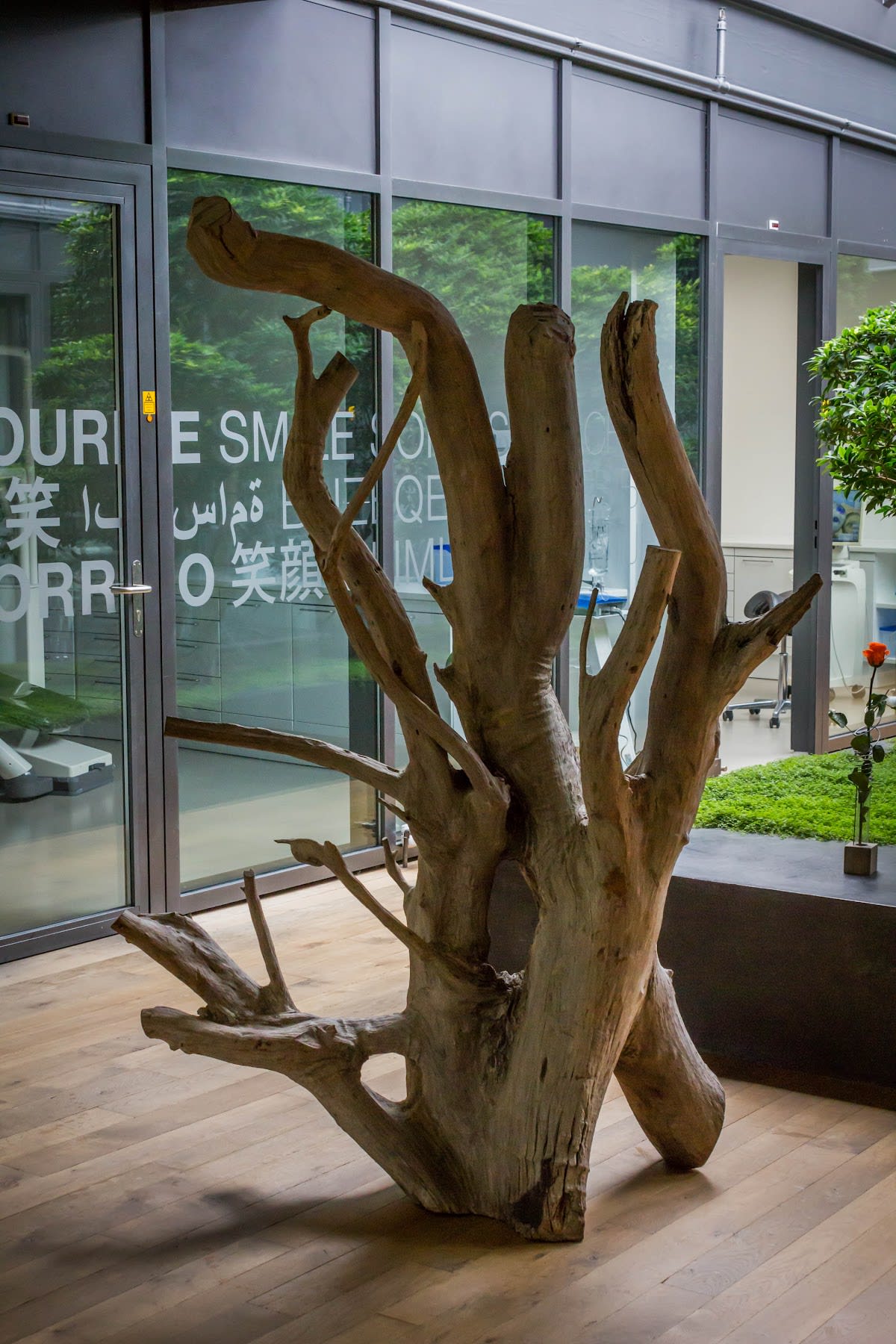 Medical-Dental Center Balexert Sàrl gallery image 6