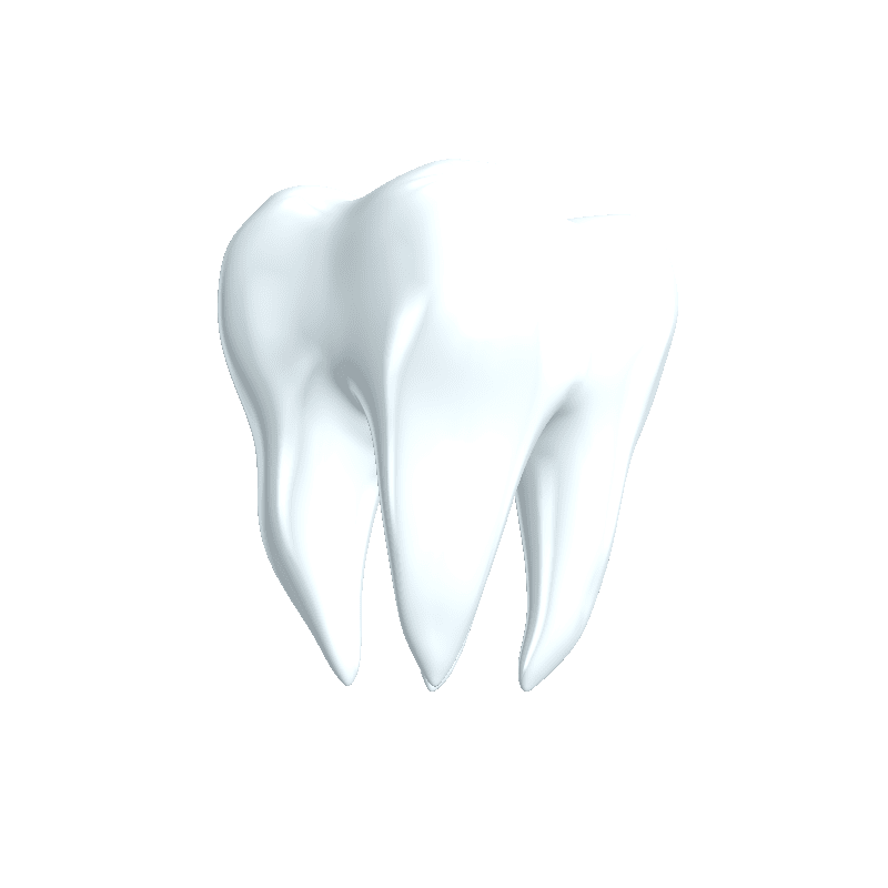 Tdl SA gallery image 3