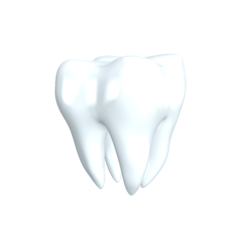 Tdl SA gallery image 5