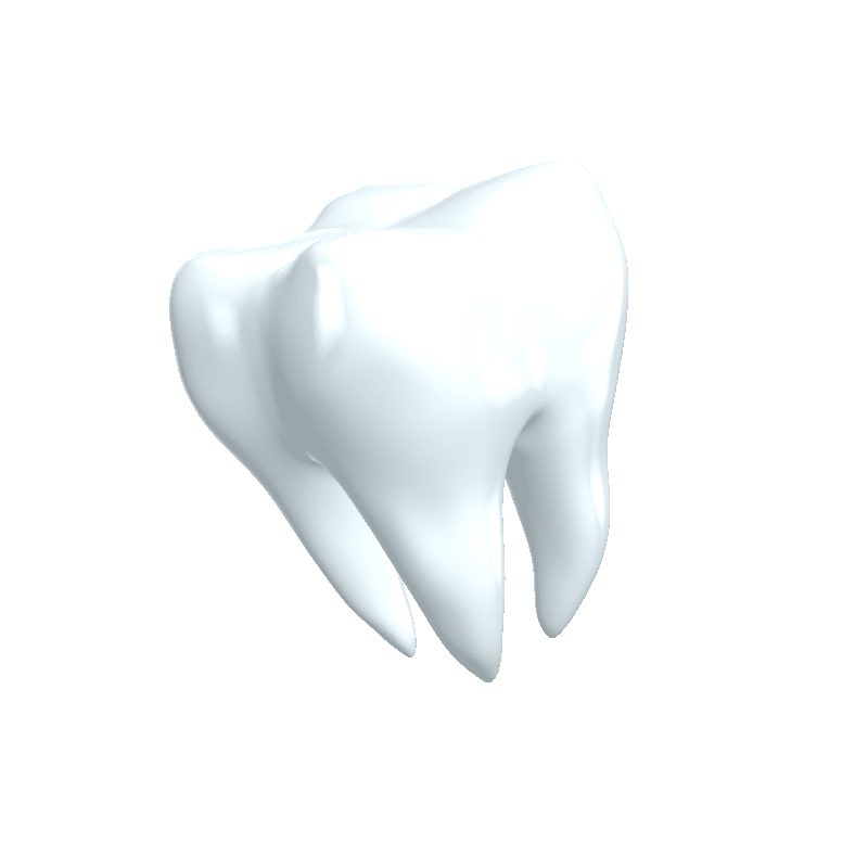 Tdl SA gallery image 6