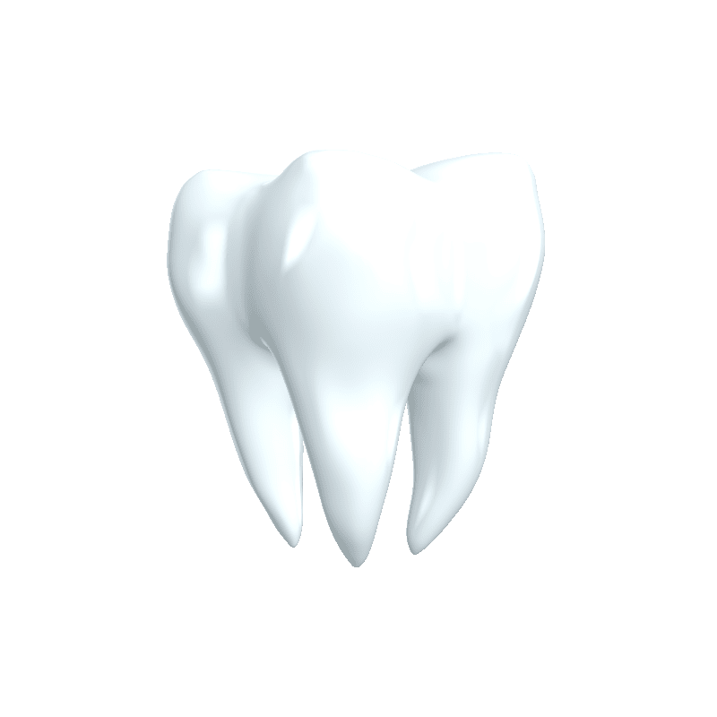 Tdl SA gallery image 7