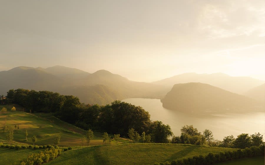 Wellness & Longevity di Angelo Caroli gallery image 10