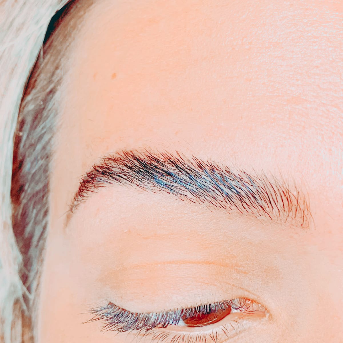 Maison du Sourcil gallery image 3