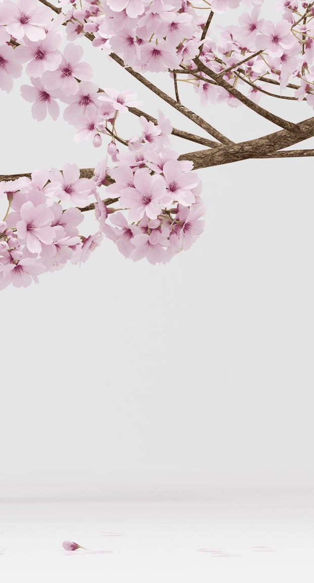 natural-face.ch gallery image 4