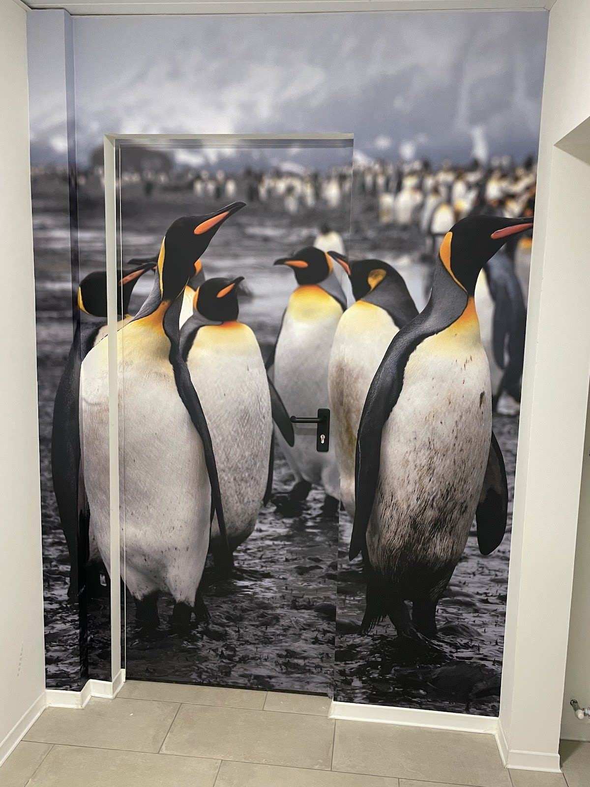 Cryo SPA gallery image 8