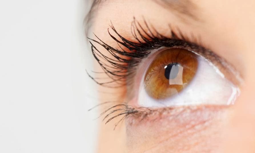 Novacorpus CH gallery image 5