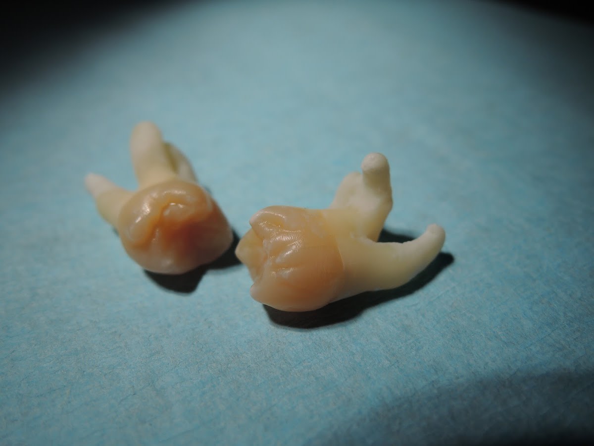 Zahnarzt Luzern Zahnarztpraxis Dr. med. dent. Martin Stahl - I & ZZ AG gallery image 9