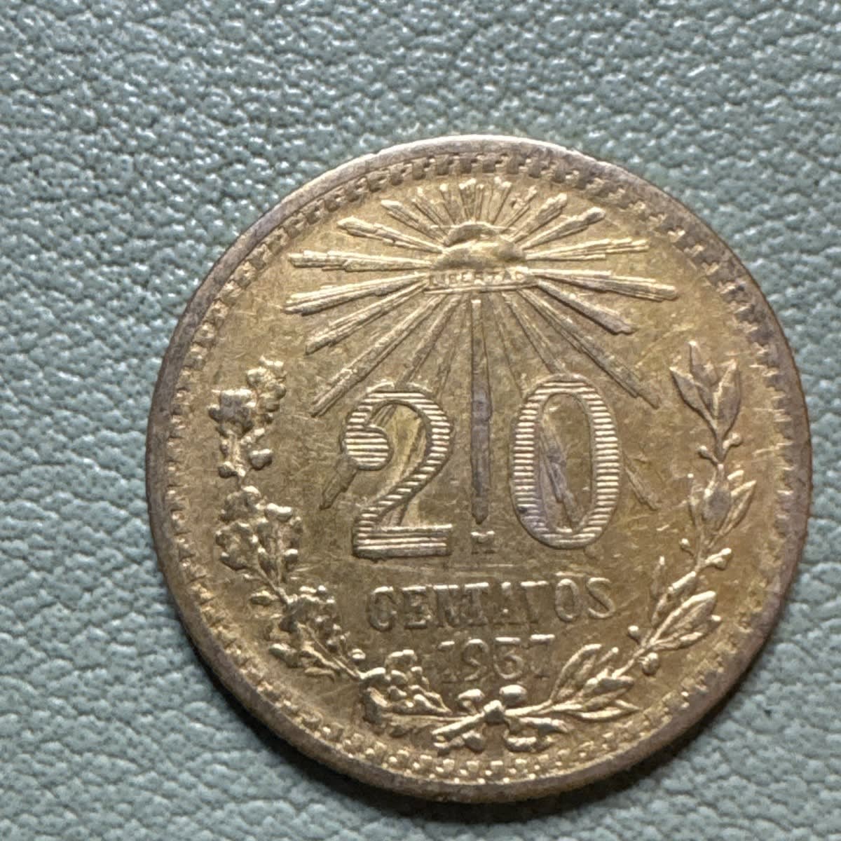 Mrs. Dr.med.dent. Christine Gerber interior