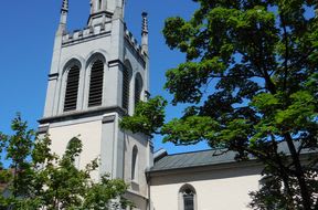 Zahnarztpraxis am See, Dr. med. dent. Thomas Amstad gallery image 1