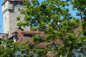 Zahnarztpraxis am See, Dr. med. dent. Thomas Amstad gallery image 2