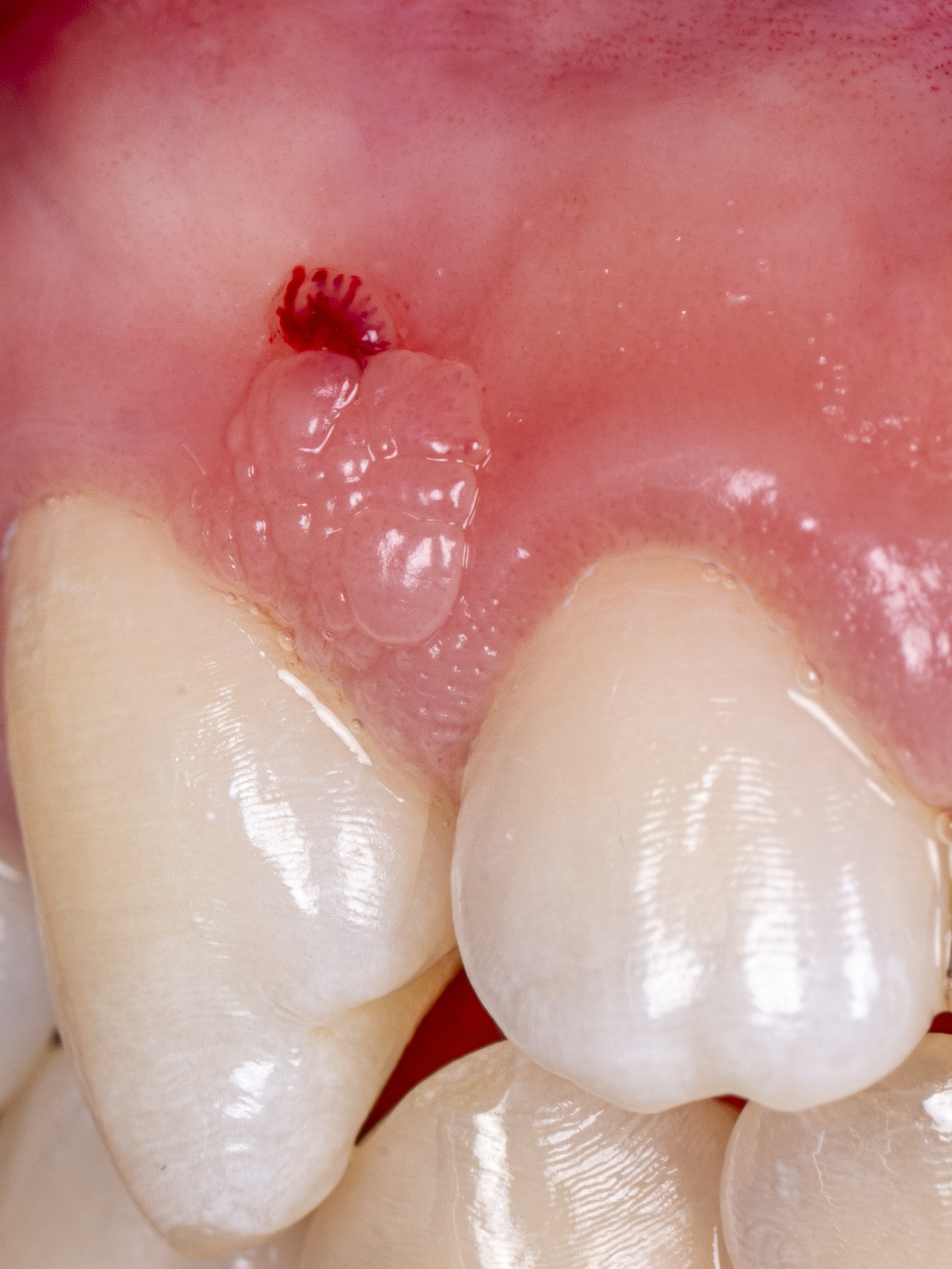 STUDIOMILANO gallery image 7