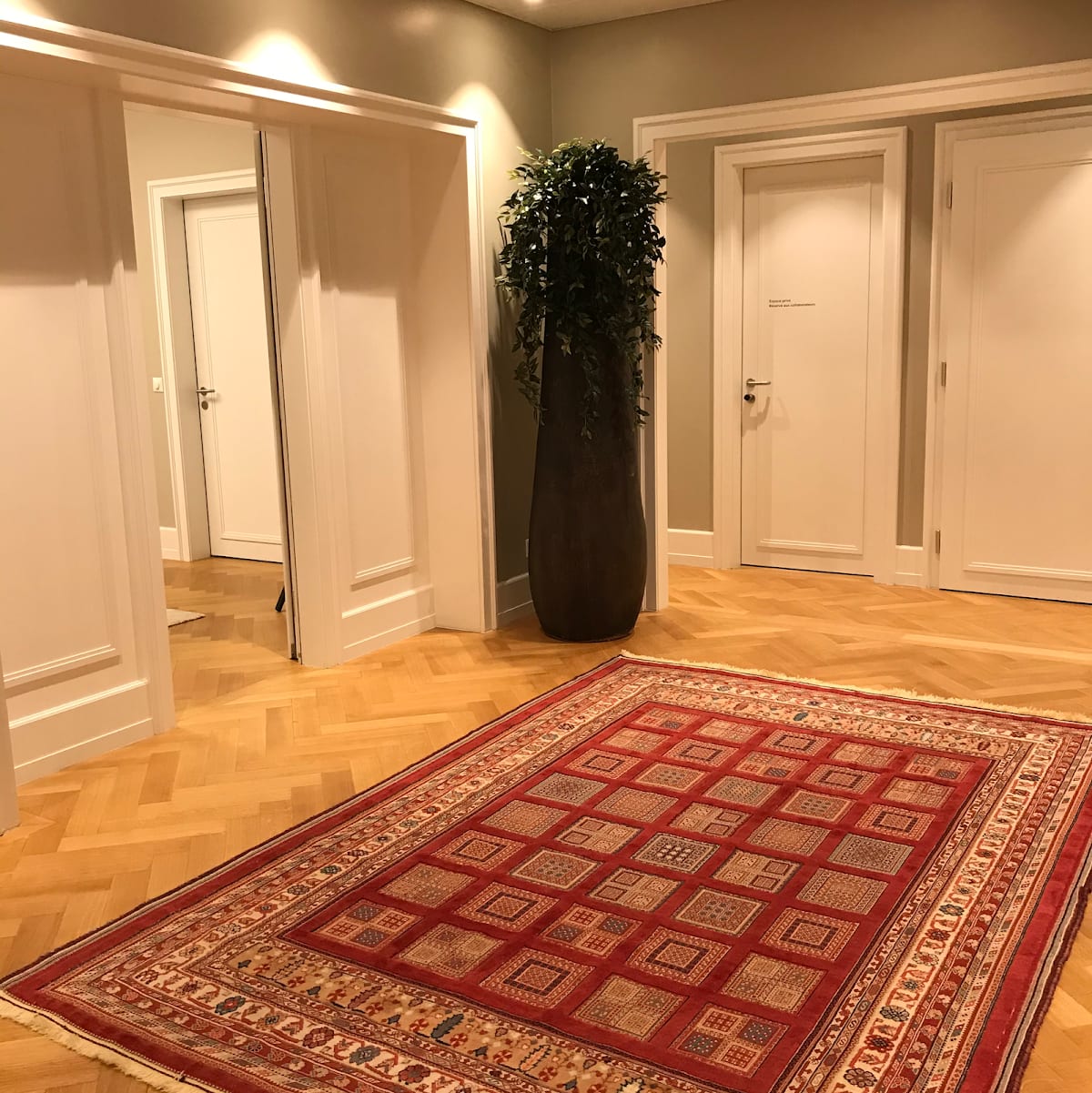 Dr Ali Modarressi gallery image 8