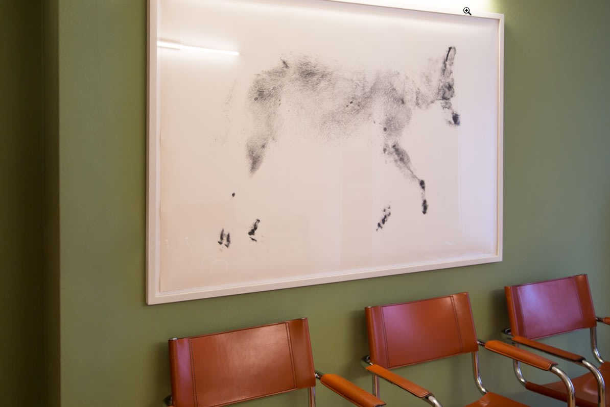 Dr. Cynthia A. Wolfensberger gallery image 7