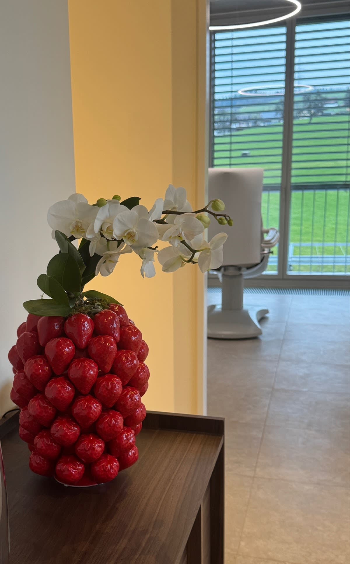 ZS | Dr. Zorica Saljo - Praxis für Ästhetische Medizin in Zug gallery image 9