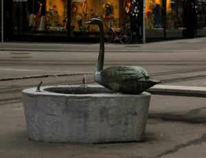 Zahnarztpraxis Saleh gallery image 1