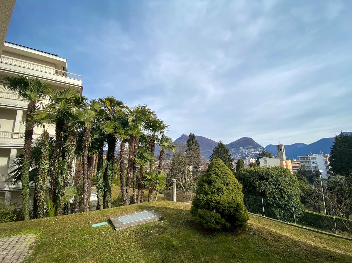 Dr. med. dent. Svitlana Bough gallery image 7