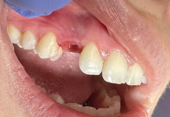 Julie Kohler Grundman gallery image 1