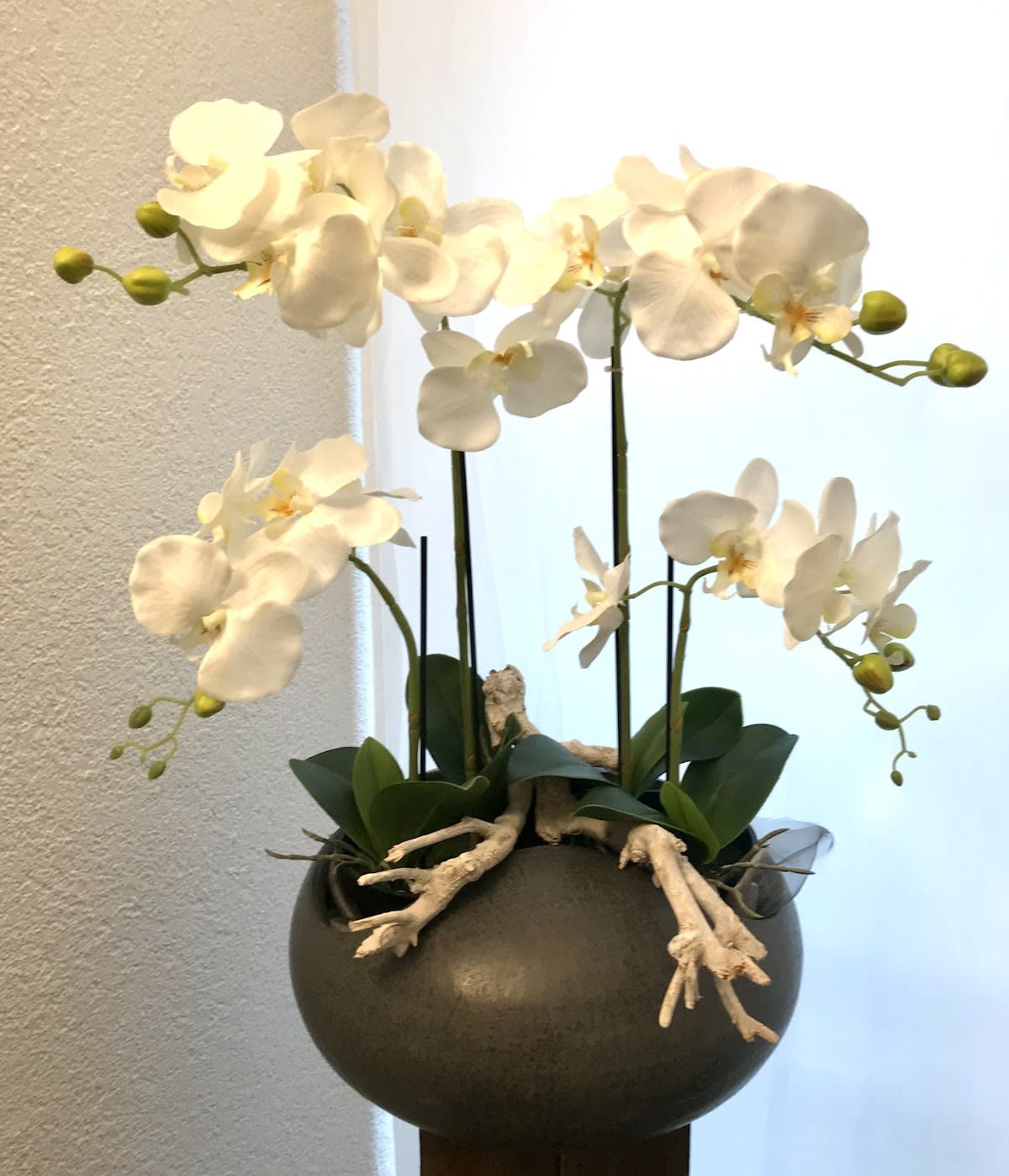 Esthetic Line – body & beauty center gallery image 5