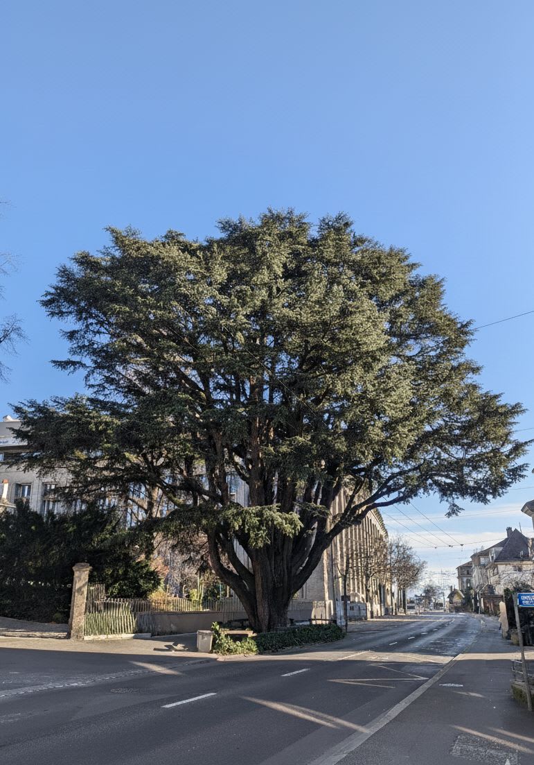 Cabinet Dentaire Beaulieu gallery image 1
