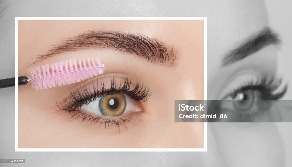 LABOTÉ by MC gallery image 3