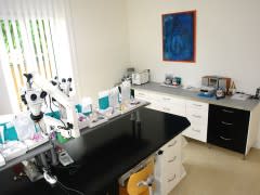 Denta Tech AG gallery image 5