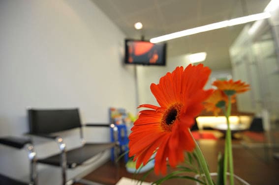 Neumarktpraxis G. Haliti, Zahnarztpraxis, Sankt Leonhard-Strasse 39 / Neumarkt 2 gallery image 6