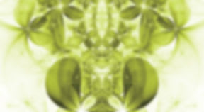 Centre de Soins Capillaires gallery image 1