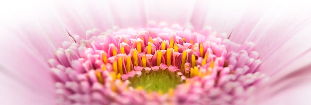 Swiss-Aesthetic, Fachinstitut für Ästhetik gallery image 1