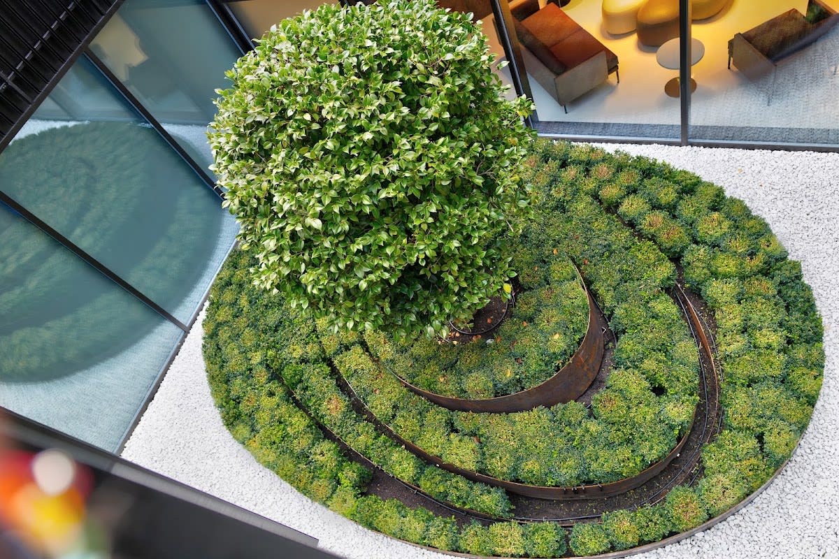 Esthetikamed Bulle gallery image 9