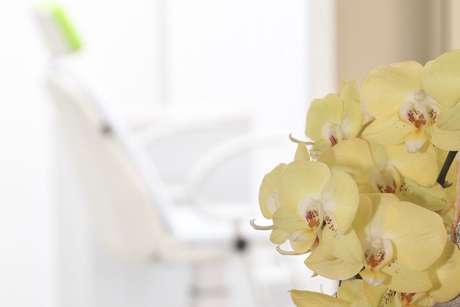 Zahntechnik Weber AG gallery image 4