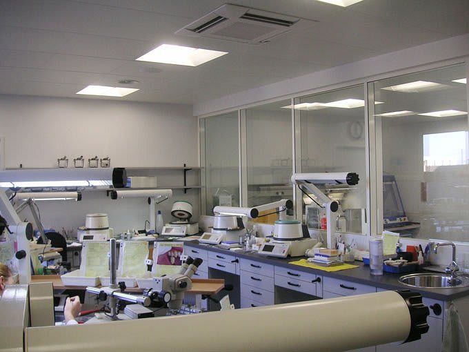 Zahntechnik Weber AG gallery image 8