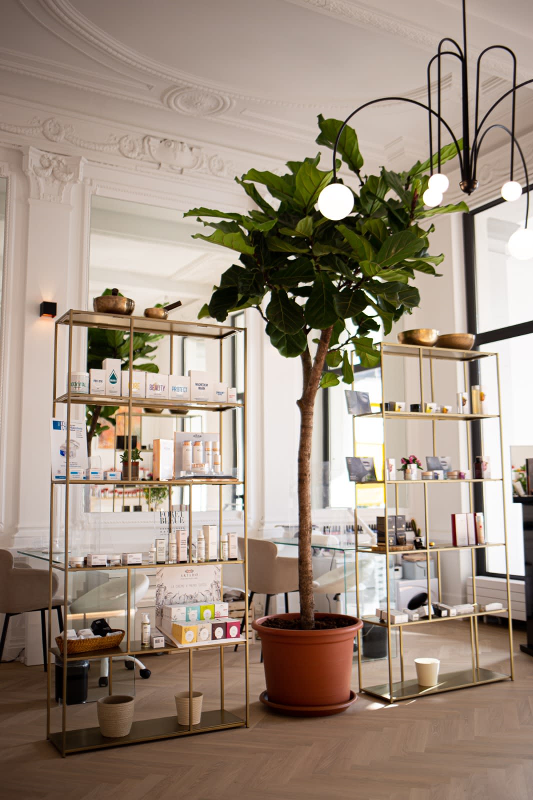 Kalos gallery image 9