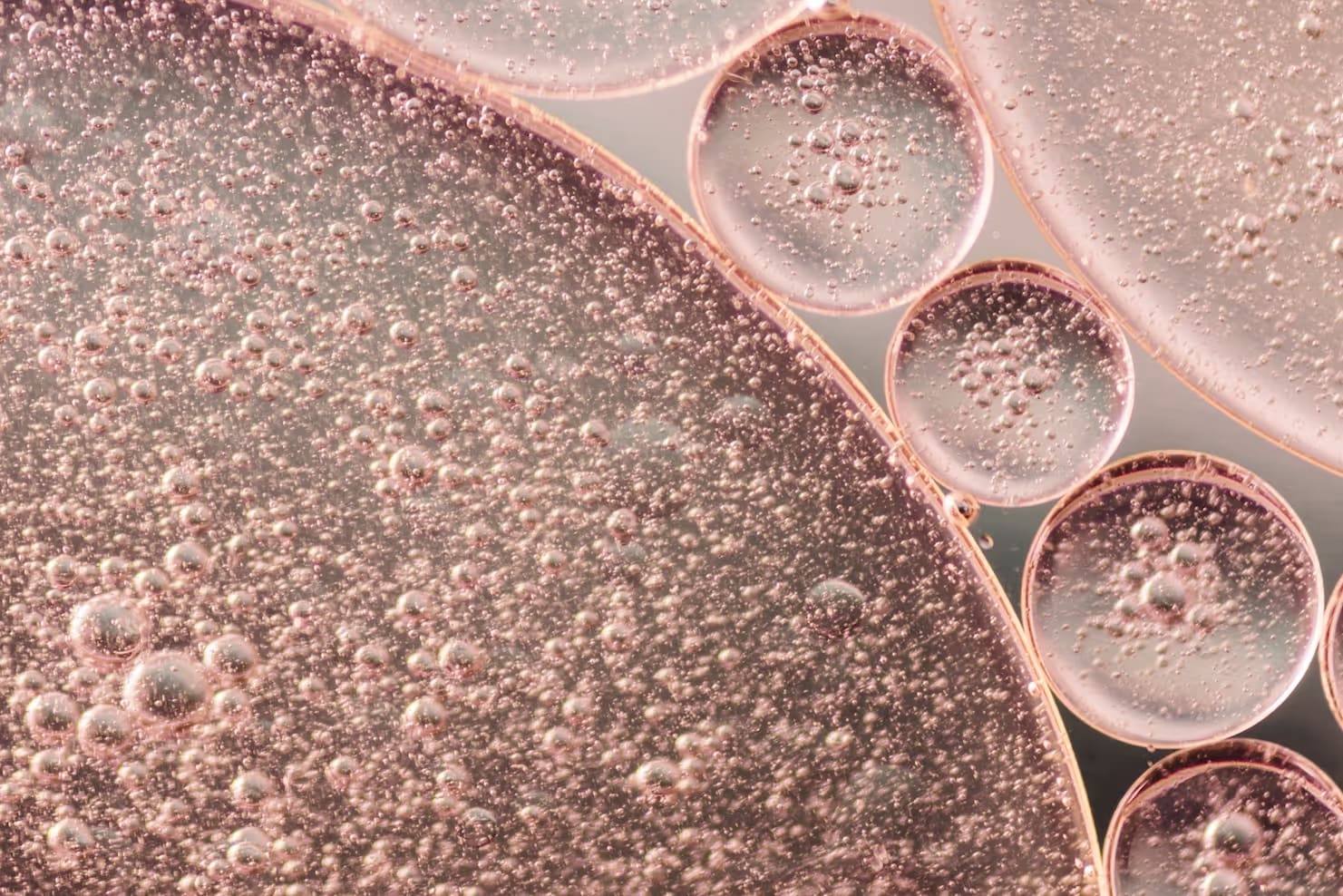 everskin | skin longevity lab gallery image 9