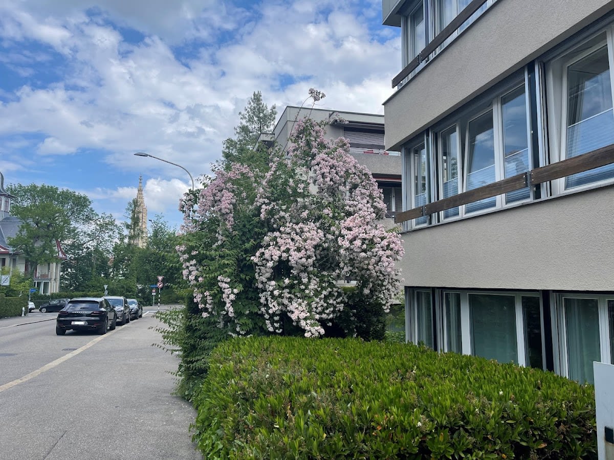 Kirchenfeld Zahnärzte | Céline A. Huber | Zahnarzt Bern | Zahnarztpraxis | Dentalhygiene gallery image 9