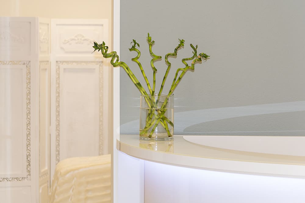 Medical Laser & Beauty AG gallery image 2