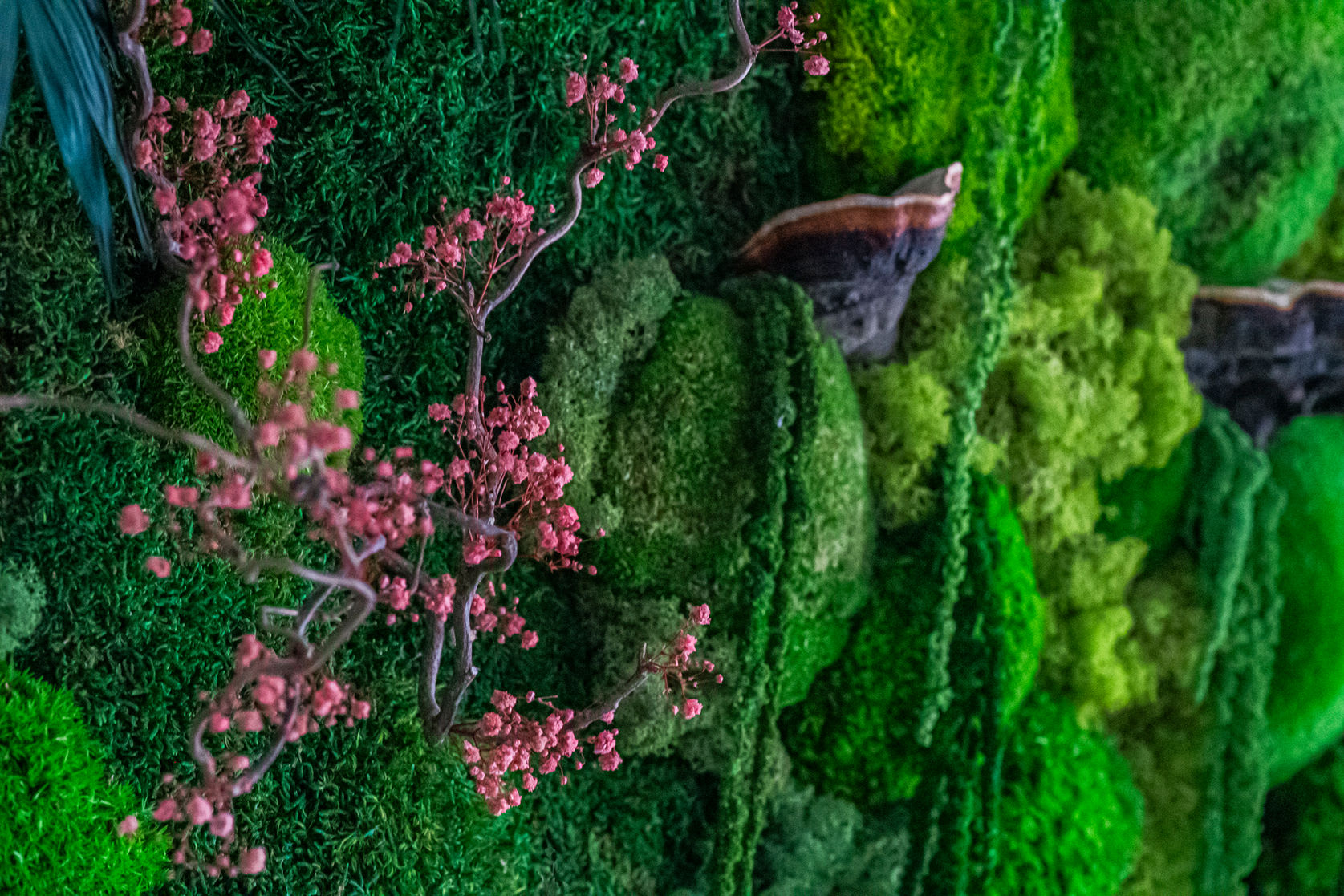 Dr Viollier Mihaiela gallery image 1